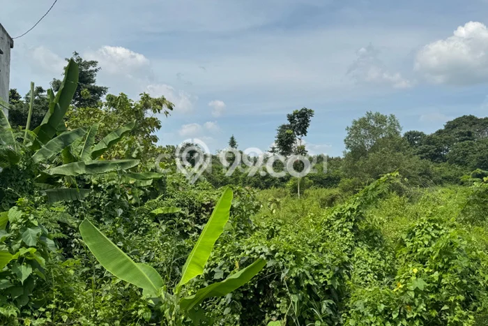 Tanah Kosong Dijual di Purwakarta dengan Area 13000m2 Tanah Kosong Dijual di Purwakarta dengan Area 13000m2