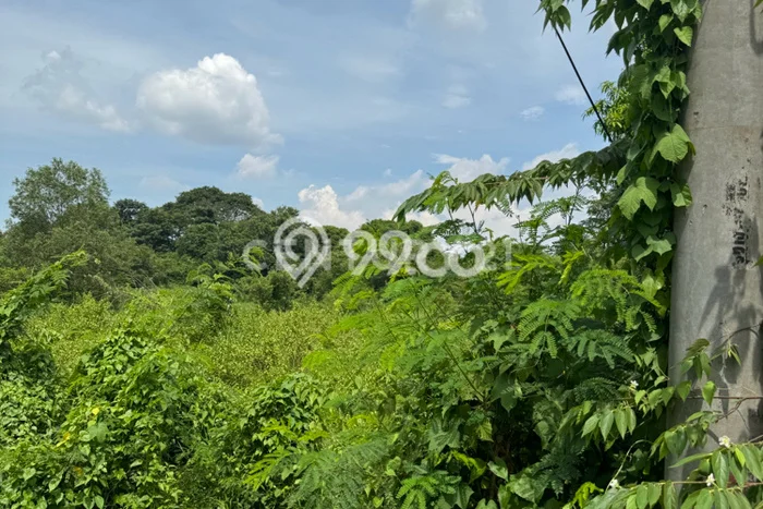Tanah Kosong Dijual di Purwakarta dengan Area 13000m2 Tanah Kosong Dijual di Purwakarta dengan Area 13000m2