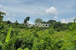 Tanah Kosong Dijual di Purwakarta dengan Area 13000m2 Tanah Kosong Dijual di Purwakarta dengan Area 13000m2