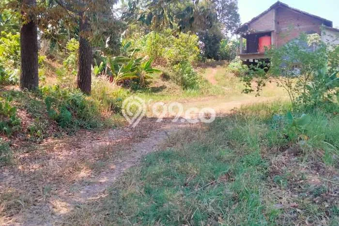 Untuk Dijual Tanah di Beji Depok Luas 11331m2 SHM Untuk Dijual Tanah di Beji Depok Luas 11331m2 SHM