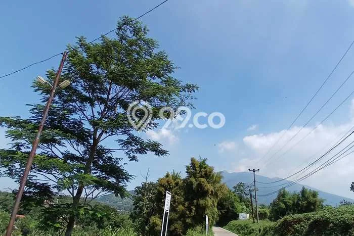 Tanah untuk Dijual Lokasi Cijeruk, Bogor Luas 3691m2 - Tanah untuk Dijual Lokasi Cijeruk, Bogor Luas 3691m2 -