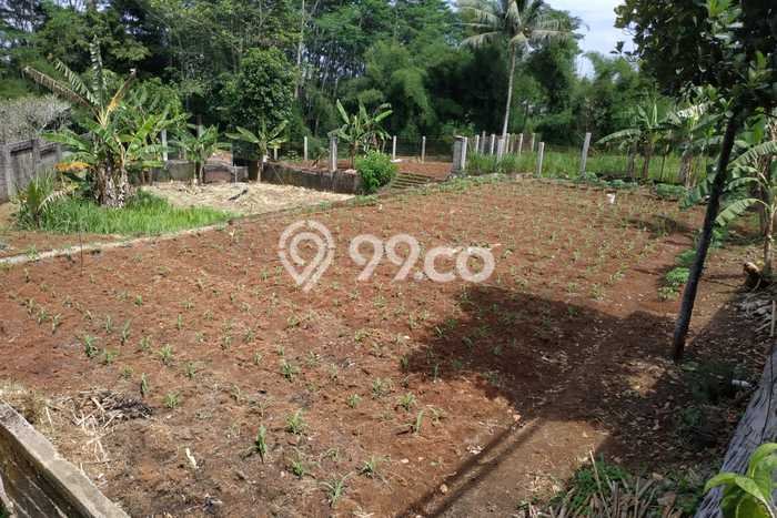Jual Tanah Area Premium di Sawangan, Luas 3564m², Potensi Bagus Jual Tanah Area Premium di Sawangan, Luas 3564m², Potensi Bagus