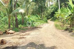 Tanah Komersial Dijual di Pandeglang Pandeglang 10000m2 Tanah Komersial Dijual di Pandeglang Pandeglang 10000m2