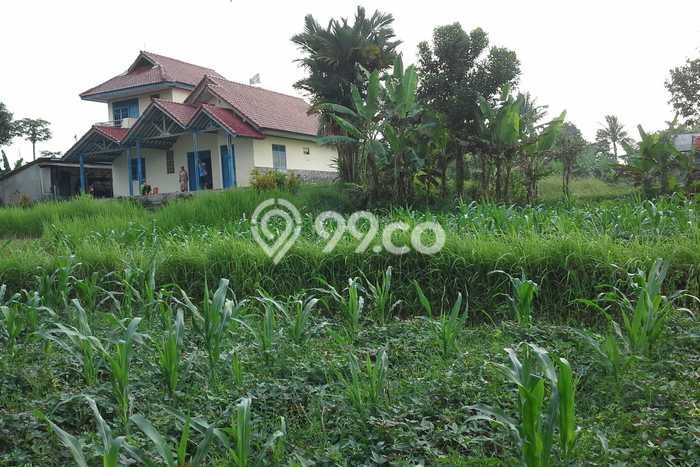 Untuk Dijual Tanah di Cibungbulang Bogor Luas 11408m2 SHM Untuk Dijual Tanah di Cibungbulang Bogor Luas 11408m2 SHM