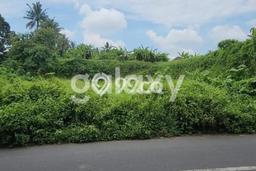 Jarang Ada! Tanah di Ubud Punya Luas 1316m2 SHM Jarang Ada! Tanah di Ubud Punya Luas 1316m2 SHM