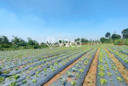 Tanah Kosong Dijual di Cimahi dengan Area 70718m2 Tanah Kosong Dijual di Cimahi dengan Area 70718m2