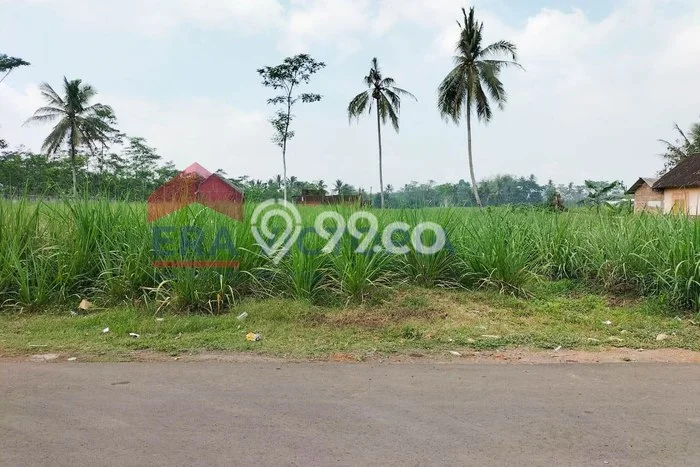 Dijual Tanah di Pakisaji Malang Luas 7000m2 - Dijual Tanah di Pakisaji Malang Luas 7000m2 -