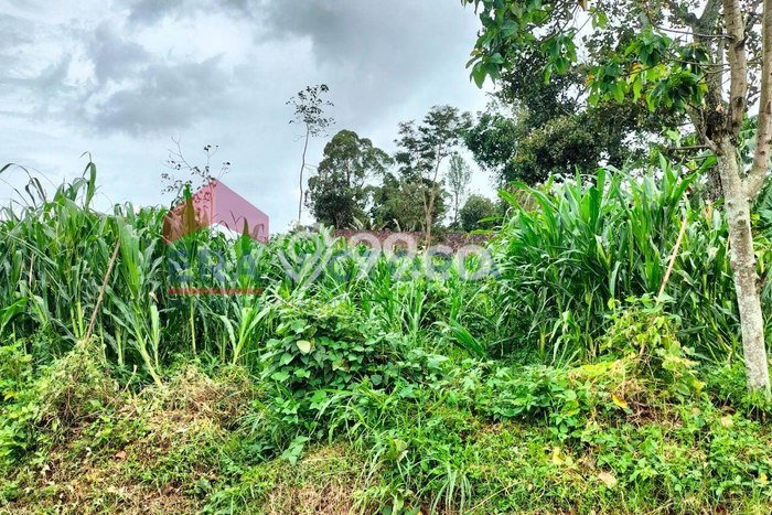 Tanah Kosong Dijual di Batu dengan Area 339m2 Tanah Kosong Dijual di Batu dengan Area 339m2