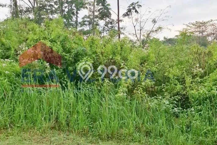 Kavling Tanah Dijual di Dau Malang Spesifikasi 201m2 Kavling Tanah Dijual di Dau Malang Spesifikasi 201m2