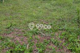 Lahan Strategis di Pangkalan Dijual dengan Luas 1201m2 Lahan Strategis di Pangkalan Dijual dengan Luas 1201m2