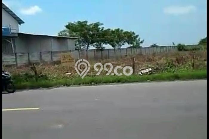 Kavling Tanah di Widang Dijual Luas 40000m2 Legalitas SHM Kavling Tanah di Widang Dijual Luas 40000m2 Legalitas SHM
