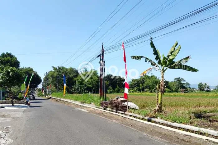 Tanah Siap Bangun Dijual di Yogyakarta Punya Luas 168m2 Tanah Siap Bangun Dijual di Yogyakarta Punya Luas 168m2