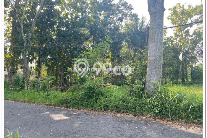 HARGA TERBAIK! Tanah Kawasan Maguwoharjo, Luas 126m², Area Premium HARGA TERBAIK! Tanah Kawasan Maguwoharjo, Luas 126m², Area Premium
