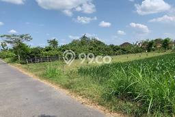 Dijual Tanah Kawasan Bisnis di Prambanan, Luas 104m², Cocok untuk Pengembangan Dijual Tanah Kawasan Bisnis di Prambanan, Luas 104m², Cocok untuk Pengembangan