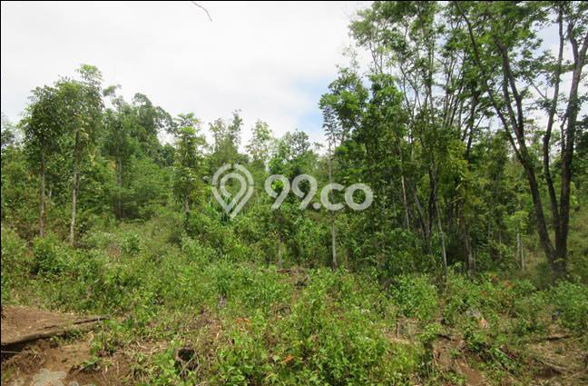 Tanah di Bogor Selatan, Bogor Luas 15155m2 Dijual Segera Tanah di Bogor Selatan, Bogor Luas 15155m2 Dijual Segera