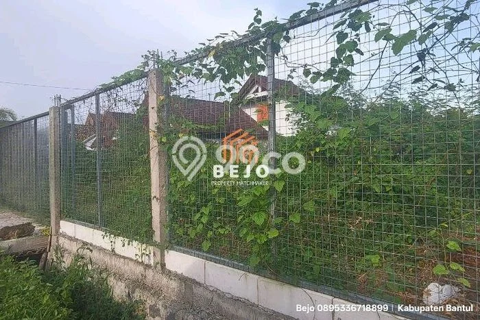 Disewakan Tanah Seluas 500m2 di Kasihan, Bantul Disewakan Tanah Seluas 500m2 di Kasihan, Bantul