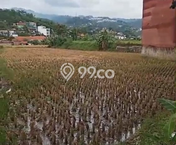 Tanah di Soreang, Bandung Luas 9800m2 Dijual Segera Tanah di Soreang, Bandung Luas 9800m2 Dijual Segera