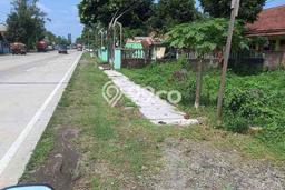 Tanah Kavling di Perak Dijual dengan Luas 8000m2 Tanah Kavling di Perak Dijual dengan Luas 8000m2
