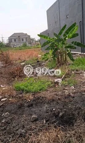 Tanah di Menganti, Gresik Luas 585m2 Dijual Segera Tanah di Menganti, Gresik Luas 585m2 Dijual Segera
