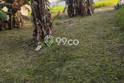 Dijual Tanah di Karawang, Luas 180m2 SHM Dijual Tanah di Karawang, Luas 180m2 SHM