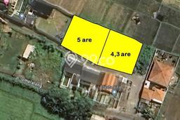 Tanah Kavling Dijual di Cemagi, Badung dengan Luas Tanah 1000m2 Tanah Kavling Dijual di Cemagi, Badung dengan Luas Tanah 1000m2