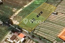 Tanah Kavling Dijual di Munggu, Badung dengan Luas Tanah 1200m2 Tanah Kavling Dijual di Munggu, Badung dengan Luas Tanah 1200m2