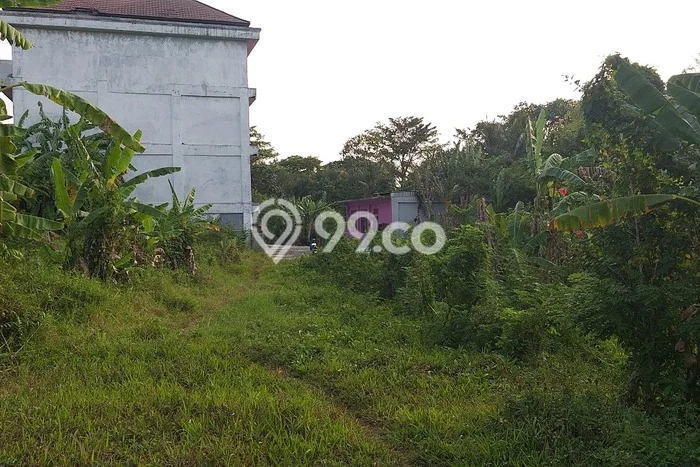 Tanah Dijual Lokasi Kediri, Tabanan dengan Luas Tanah 400m2 dan Status SHM Tanah Dijual Lokasi Kediri, Tabanan dengan Luas Tanah 400m2 dan Status SHM