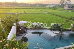 Jual Rumah Luas Megah Dengan View Eksklusif di Mas, Gianyar Jual Rumah Luas Megah Dengan View Eksklusif di Mas, Gianyar