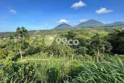 Tanah Kavling Dijual di Tabanan dengan Spesifikasi 15000m2 Tanah Kavling Dijual di Tabanan dengan Spesifikasi 15000m2