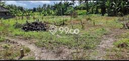 Tanah Investasi Dijual di Gianyar Punya Luas 400m2 Tanah Investasi Dijual di Gianyar Punya Luas 400m2