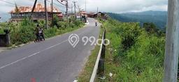 Untuk Dijual Tanah di Kintamani Bangli Luas 2400m2 SHM Untuk Dijual Tanah di Kintamani Bangli Luas 2400m2 SHM