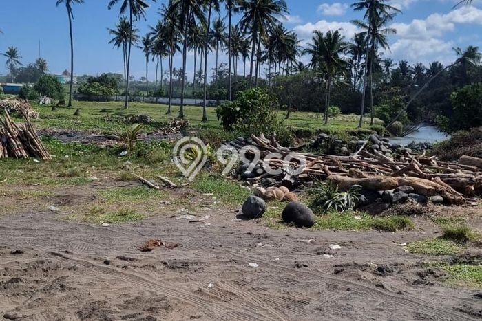 Dijual Tanah Lokasi Beraban, Tabanan Seluas 19000m2 Dijual Tanah Lokasi Beraban, Tabanan Seluas 19000m2