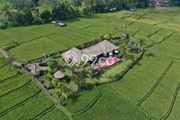 Siap Huni Hunian Elit 2 Kamar di Ubud Dekat ke Mana Saja Siap Huni Hunian Elit 2 Kamar di Ubud Dekat ke Mana Saja