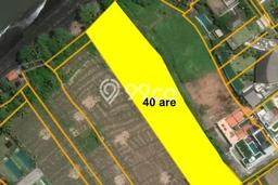 Lahan Dijual Lokasi Strategis di Badung dengan Luas 4000m2 Lahan Dijual Lokasi Strategis di Badung dengan Luas 4000m2
