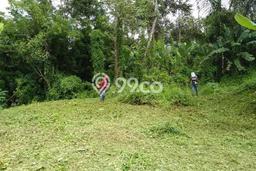 Tanah Siap Bangun Dijual di Badung Punya Luas 1170m2 Tanah Siap Bangun Dijual di Badung Punya Luas 1170m2