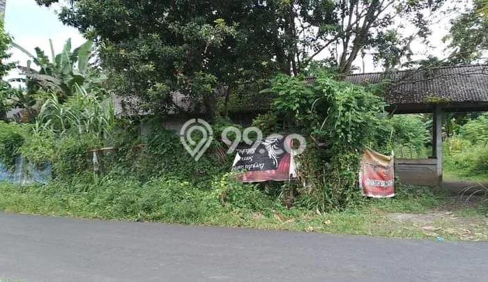 Tanah Dijual Lokasi Baturiti, Tabanan Luas 3600m2 Legalitas Aman Tanah Dijual Lokasi Baturiti, Tabanan Luas 3600m2 Legalitas Aman