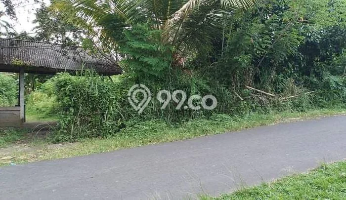 Tanah Dijual Lokasi Baturiti, Tabanan Luas 3600m2 Legalitas Aman Tanah Dijual Lokasi Baturiti, Tabanan Luas 3600m2 Legalitas Aman