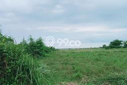Kavling Tanah Dijual di Gianyar Gianyar Spesifikasi 3800m2 Kavling Tanah Dijual di Gianyar Gianyar Spesifikasi 3800m2