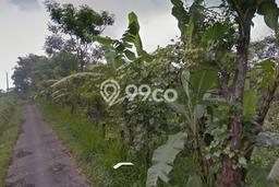 Tanah Investasi Dijual di Bangli Punya Luas 500000m2 Tanah Investasi Dijual di Bangli Punya Luas 500000m2