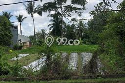 Kavling Tanah Dijual di Ubud, Gianyar, Luas 1288m2 Area Strategis Kavling Tanah Dijual di Ubud, Gianyar, Luas 1288m2 Area Strategis
