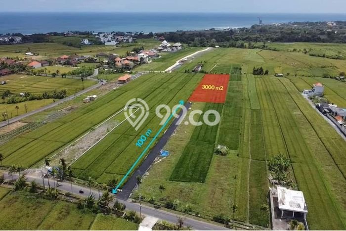 Dijual Tanah Lokasi Cemagi, Badung Seluas 3000m2 Dijual Tanah Lokasi Cemagi, Badung Seluas 3000m2