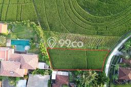 Untuk Dijual Tanah di Kerambitan Tabanan Luas 700m2 SHM Untuk Dijual Tanah di Kerambitan Tabanan Luas 700m2 SHM