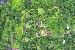 Tanah Kavling Dijual di Bongkasa, Badung dengan Luas Tanah 12700m2 Tanah Kavling Dijual di Bongkasa, Badung dengan Luas Tanah 12700m2