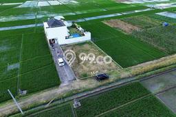 Tanah Kavling Dijual di Kelating, Tabanan dengan Luas Tanah 400m2 Tanah Kavling Dijual di Kelating, Tabanan dengan Luas Tanah 400m2