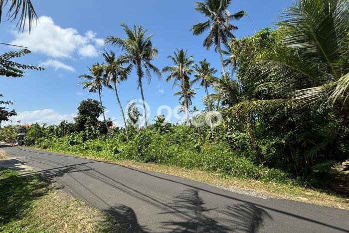 Tanah Kavling untuk Dijual di Tabanan Tabanan 1500m2 Tanah Kavling untuk Dijual di Tabanan Tabanan 1500m2