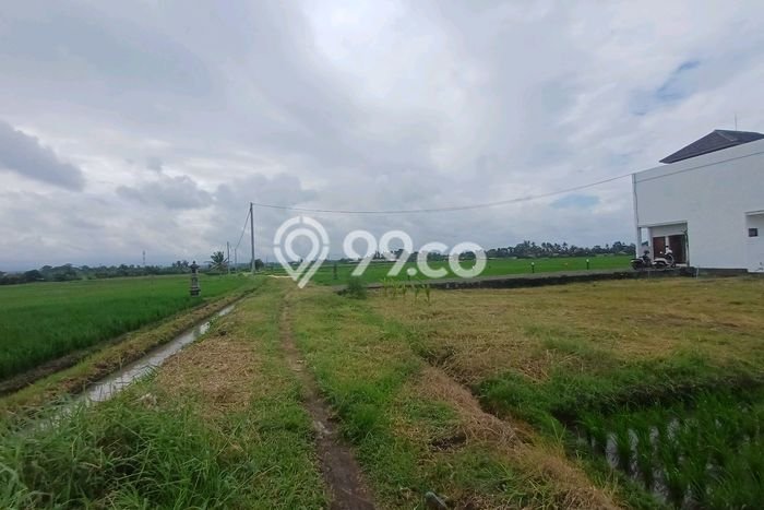 Lahan Dijual Lokasi Strategis di Tabanan dengan Luas 1050m2 Lahan Dijual Lokasi Strategis di Tabanan dengan Luas 1050m2