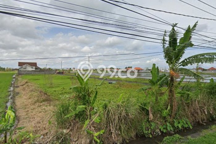 Dijual Tanah Lokasi Cemagi, Badung Seluas 1000m2 Dijual Tanah Lokasi Cemagi, Badung Seluas 1000m2
