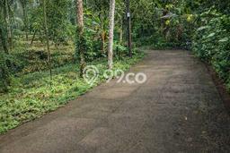 Tanah untuk Dijual Lokasi Sidemen, Karangasem Luas 7800m2 SHM Tanah untuk Dijual Lokasi Sidemen, Karangasem Luas 7800m2 SHM