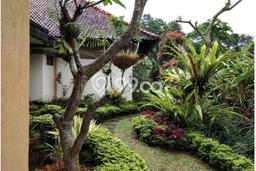Kesempatan Investasi! Vila di , Area 1009m2m², ROI Tinggi untuk bisnis Kesempatan Investasi! Vila di , Area 1009m2m², ROI Tinggi untuk bisnis