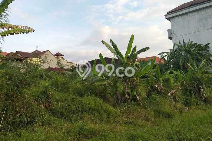 Tanah Dijual Lokasi Kediri, Tabanan dengan Luas Tanah 400m2 dan Status SHM Tanah Dijual Lokasi Kediri, Tabanan dengan Luas Tanah 400m2 dan Status SHM